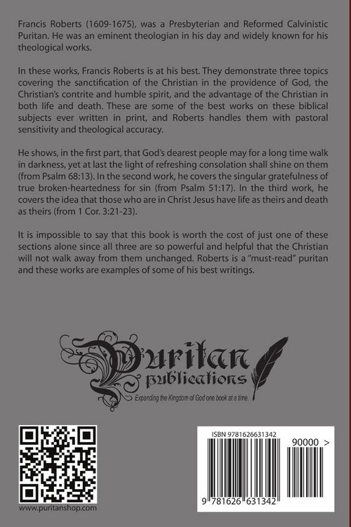 Produktbild: God's Afflicting Providence, and Other Works