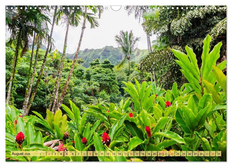 Produktbild: O'ahu - Eine Reise in das Herz von Hawaii (Wandkalender 2026 DIN A3 quer), CALVENDO Monatskalender