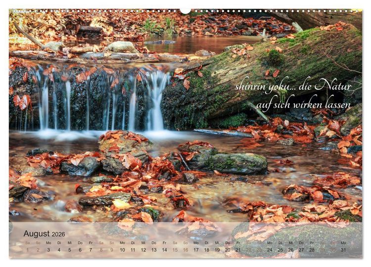 Produktbild: Shinrin yoku - Waldbaden 2026 (Wandkalender 2026 DIN A2 quer), CALVENDO Monatskalender