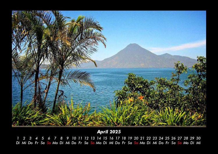Produktbild: Palmentraum 2025 Fotokalender DIN A3