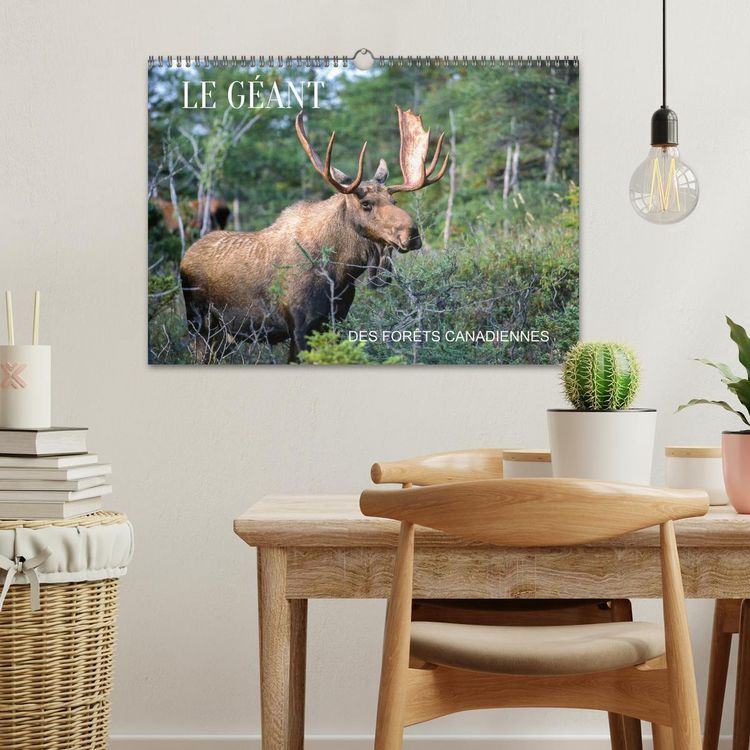 Produktbild: LE G&Eacute;ANT DES FOR&Ecirc;TS CANADIENNES (Calendrier mural 2026 DIN A3 vertical), CALVENDO calendrier mensuel