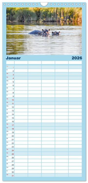Produktbild: Familienplaner 2026 - Nilpferde, Kolosse in Afrika mit 5 Spalten (Wandkalender, 21 x 45 cm) CALVENDO