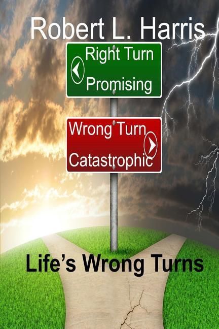 Produktbild: Life's Wrong Turns