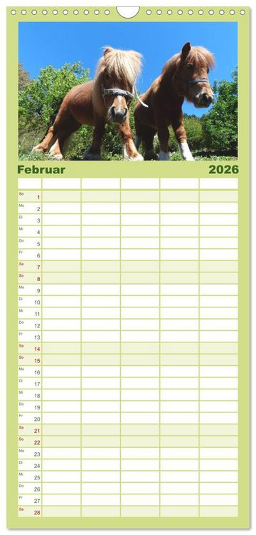 Produktbild: Familienplaner 2026 - Ponys. Herzensbrecher mit Grips mit 5 Spalten (Wandkalender, 21 x 45 cm) CALVENDO