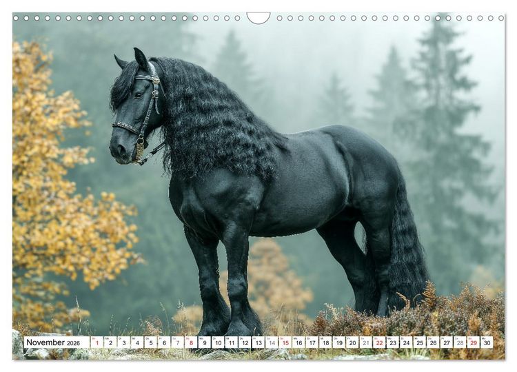 Produktbild: Pferde in freier Natur (Wandkalender 2026 DIN A3 quer), CALVENDO Monatskalender