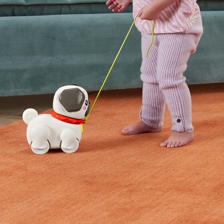 Produktbild: Fisher-Price esiel & Zieh Mops
