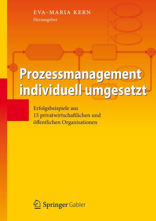 Produktbild: Prozessmanagement individuell umgesetzt