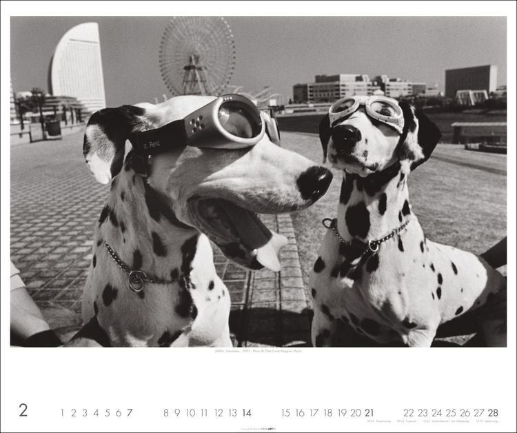Produktbild: Magnum Photos - Elliott Erwitt Kalender 2027