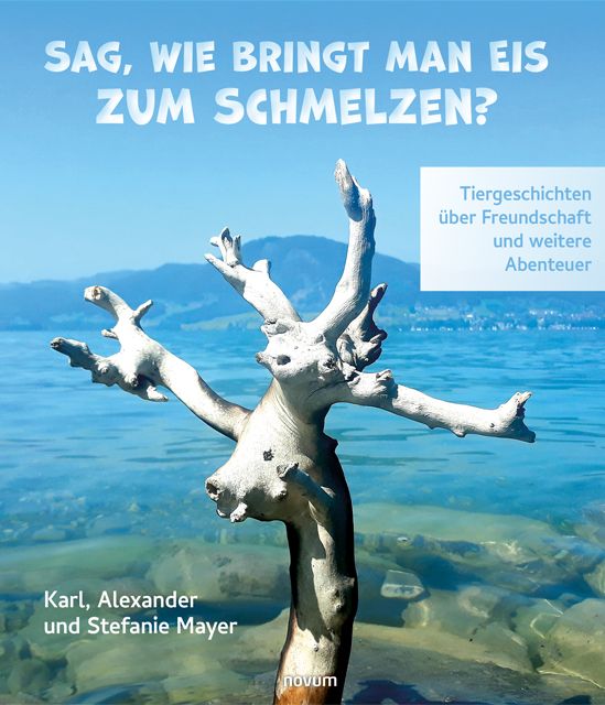 Produktbild: Sag, wie bringt man Eis zum Schmelzen?