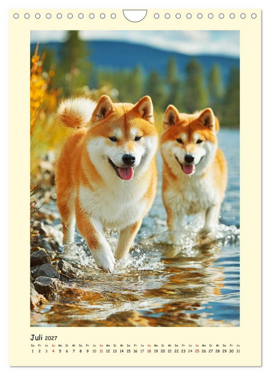 Produktbild: Shiba Inu Momente. Japans elegante Seelenhunde (Wandkalender 2027 DIN A4 hoch), CALVENDO Monatskalender