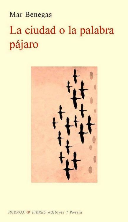Produktbild: La ciudad o la palabra p&aacute;jara