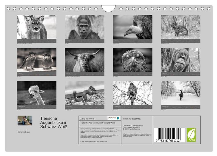 Produktbild: Tierische Augenblicke in Schwarz-Wei&szlig; (Wandkalender 2026 DIN A4 quer), CALVENDO Monatskalender