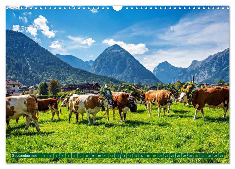 Produktbild: Und ewig lockt der Achensee - Tirol (Wandkalender 2026 DIN A3 quer), CALVENDO Monatskalender