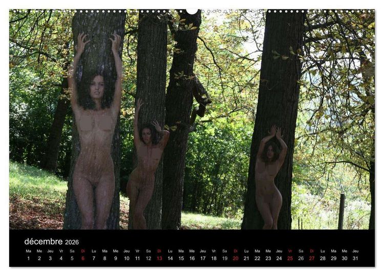 Produktbild: Beaut&eacute;s hongroises (Calendrier mural 2026 DIN A2 vertical) calendrier de bureau
