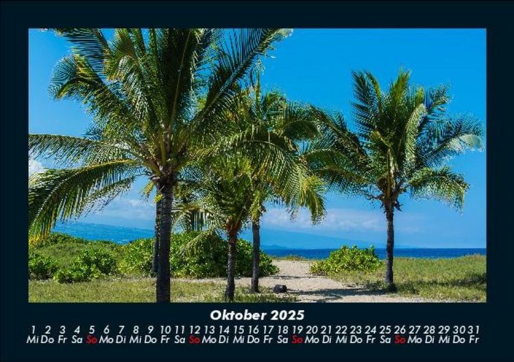 Produktbild: Palmentraum 2025 Fotokalender DIN A5
