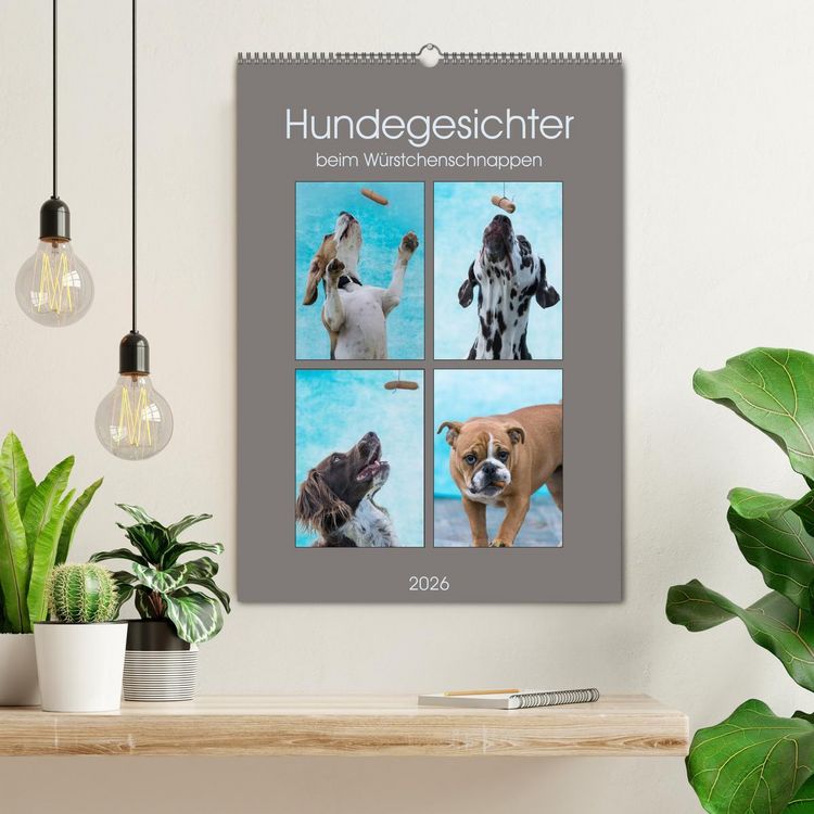Produktbild: Hundegesichter beim W&uuml;rstchenschnappen (Wandkalender 2026 DIN A2 hoch), CALVENDO Monatskalender