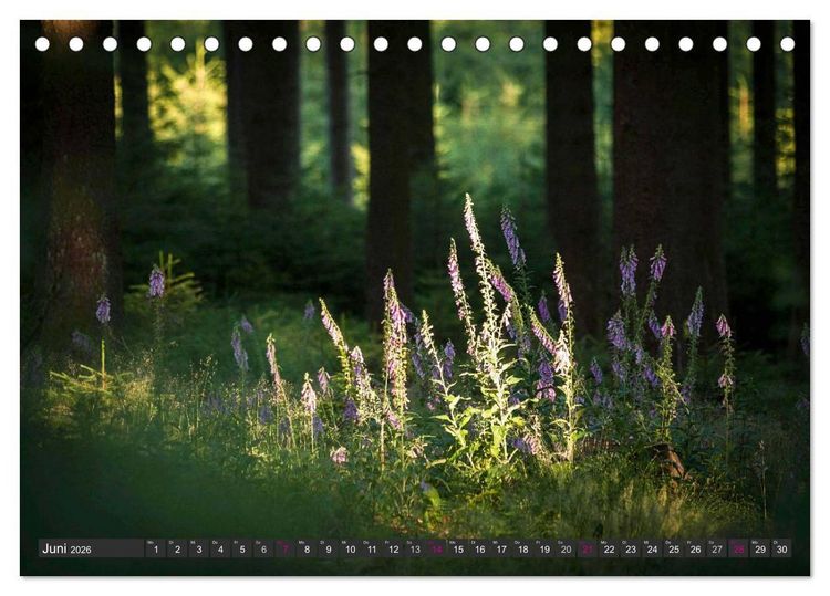 Produktbild: Unterwegs im Hunsr&uuml;ck (Tischkalender 2026 DIN A5 quer), CALVENDO Monatskalender