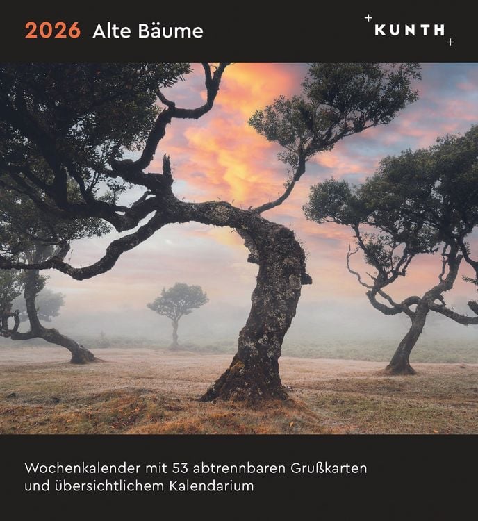 Produktbild: Alte B&auml;ume - KUNTH Postkartenkalender 2026