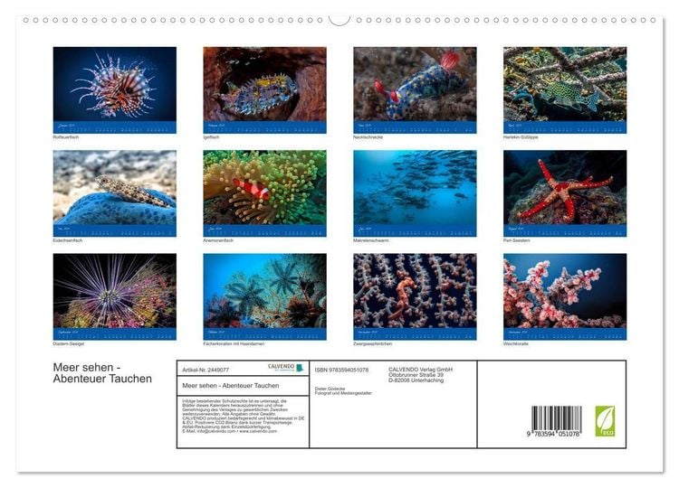 Produktbild: Meer sehen - Abenteuer Tauchen (hochwertiger Premium Wandkalender 2027 DIN A2 quer), Kunstdruck in Hochglanz