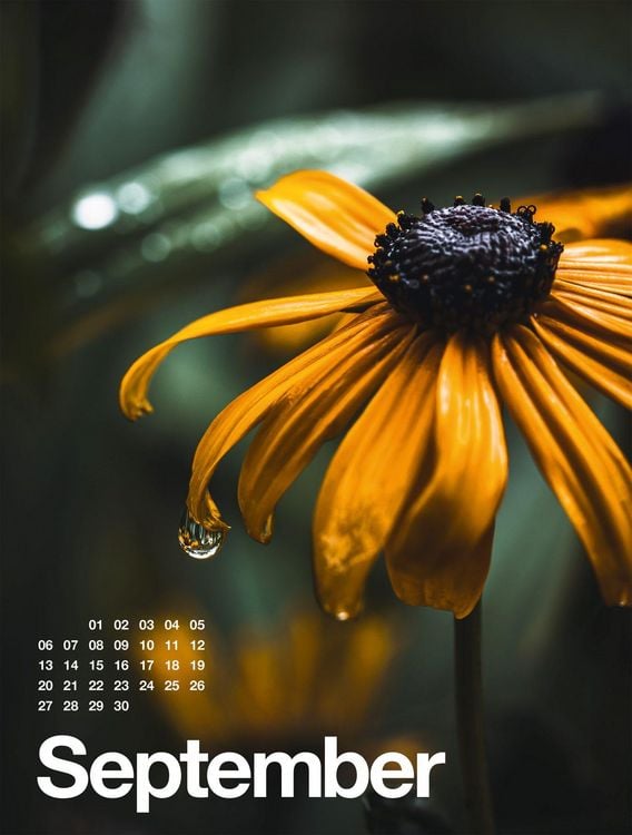 Produktbild: Fr&uuml;hling, Sommer, Herbst & Winter Kalender 2027