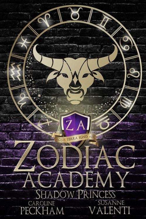Produktbild: Zodiac Academy 4