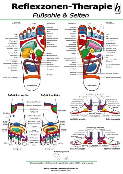 Produktbild: Reflexzonen-Therapie Mini-Poster - Fu&szlig;sohle & Seiten DIN A4