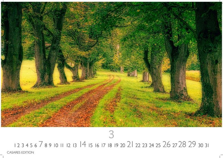 Produktbild: Englische G&auml;rten Kalender 2027 &ndash; Wandkalender | Fotokalender Naturkalender England 24x35cm - Naturfotos - Inspiration f&uuml;r Gartenliebhaber &ndash; Perfekt f&uuml;r Naturerlebnis & botanische Sch&ouml;nheit