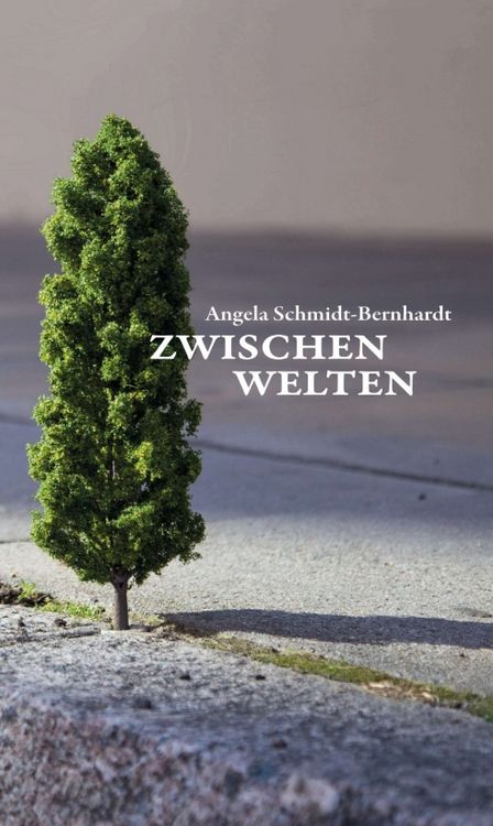 Produktbild: Zwischenwelten