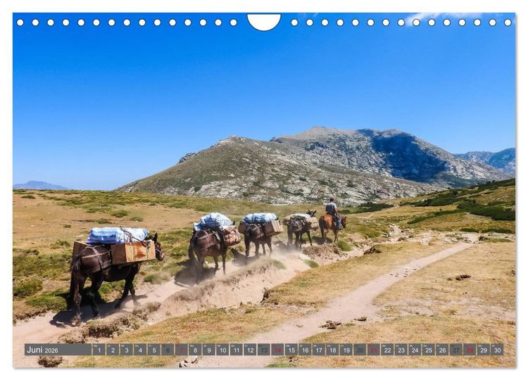 Produktbild: Weitwandern auf Korsika GR 20 (Wandkalender 2026 DIN A4 quer), CALVENDO Monatskalender