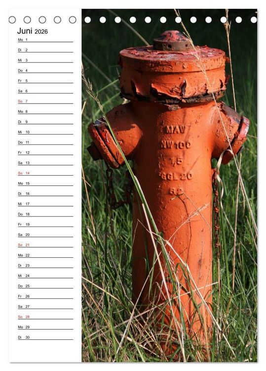 Produktbild: Nostalgie Hydranten (Tischkalender 2026 DIN A5 hoch), CALVENDO Monatskalender