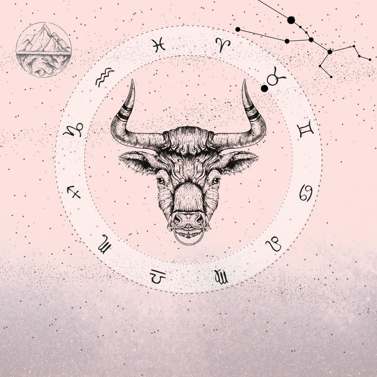 Produktbild: Oxen