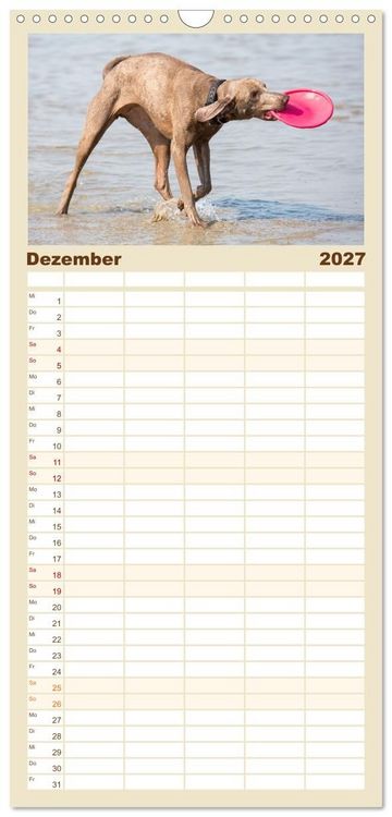 Produktbild: Familienplaner 2027 - Freunde auf vier Pfoten am Strand mit 5 Spalten (Wandkalender, 21 x 45 cm) CALVENDO