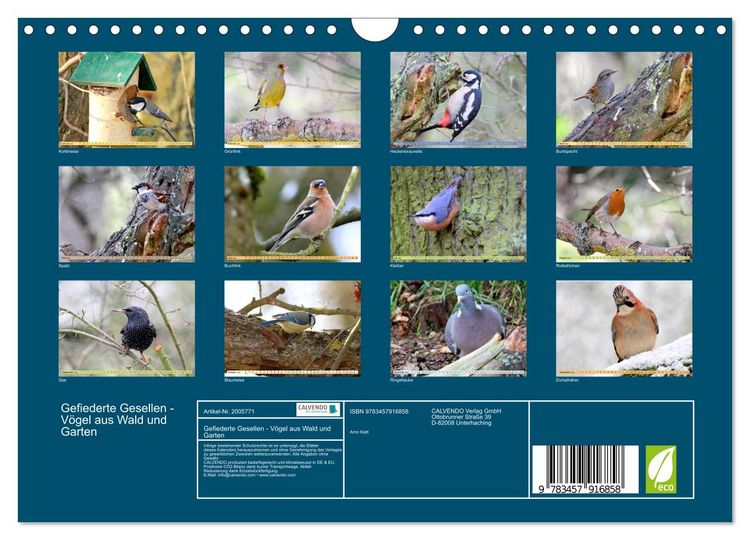 Produktbild: Gefiederte Gesellen - V&ouml;gel aus Wald und Garten (Wandkalender 2026 DIN A4 quer), CALVENDO Monatskalender