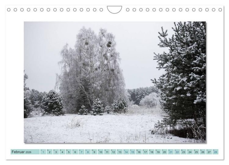Produktbild: Augenblicke im M&uuml;ritz Nationalpark (Wandkalender 2026 DIN A4 quer), CALVENDO Monatskalender