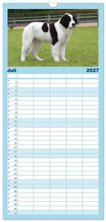 Produktbild: Familienplaner 2027 - Landseer - Das Wasser ist ihr Element mit 5 Spalten (Wandkalender, 21 x 45 cm) CALVENDO