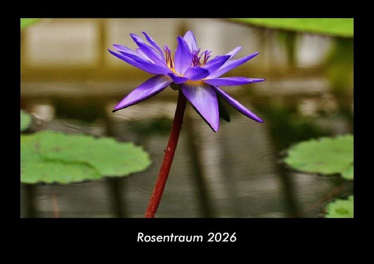 Produktbild: Rosentraum 2026 Fotokalender DIN A3