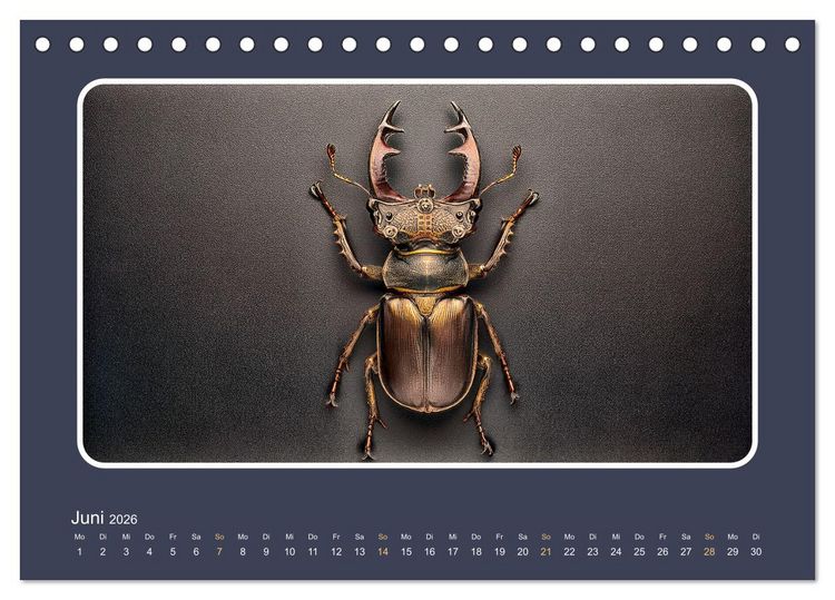 Produktbild: Roboterinsekten (Tischkalender 2026 DIN A5 quer), CALVENDO Monatskalender
