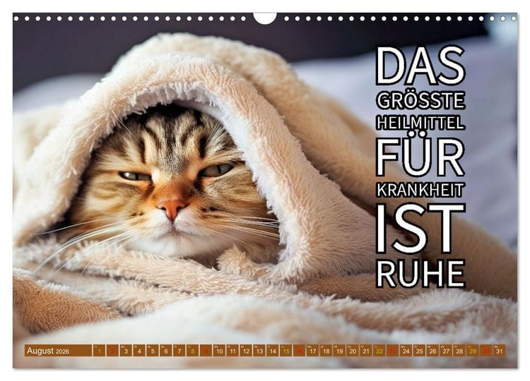Produktbild: Gute Besserung - mit coolen Spr&uuml;chen (Wandkalender 2026 DIN A3 quer), CALVENDO Monatskalender