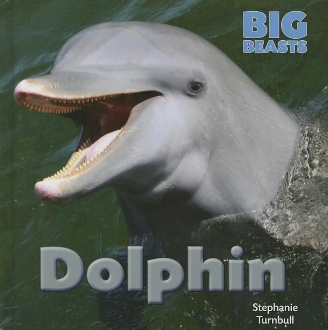 Produktbild: Dolphin