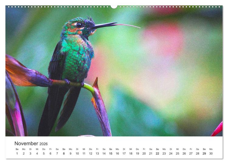 Produktbild: Costa Rica - exotische Tierwelt und unber&uuml;hrte Natur (Wandkalender 2026 DIN A2 quer), CALVENDO Monatskalender