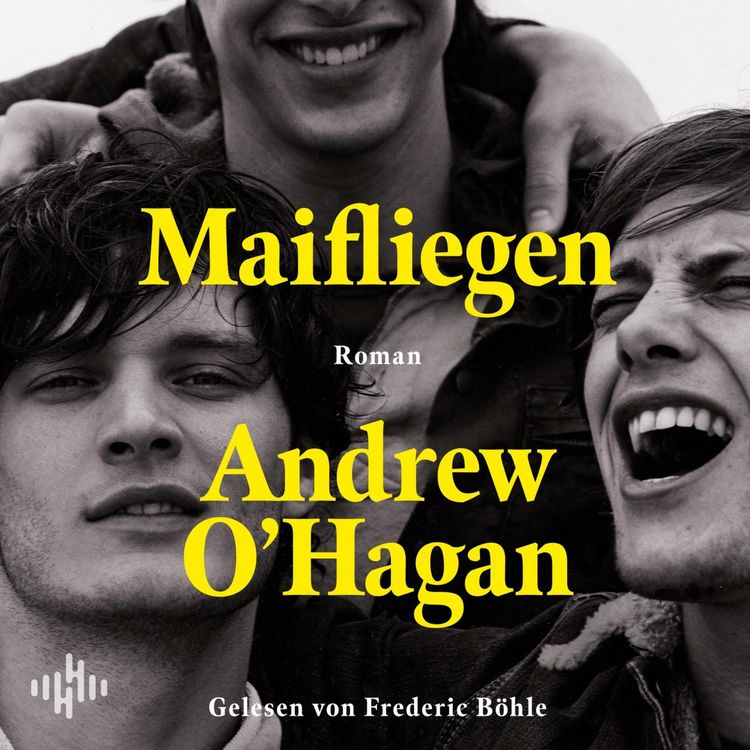 Produktbild: Maifliegen