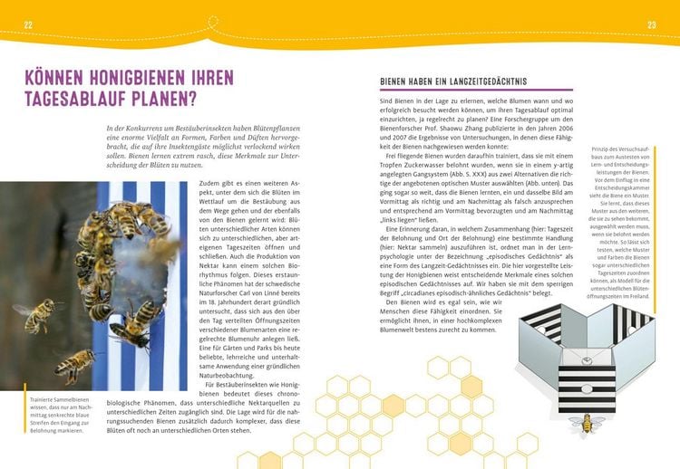 Produktbild: Auch Bienen haben Schwei&szlig;f&uuml;&szlig;e