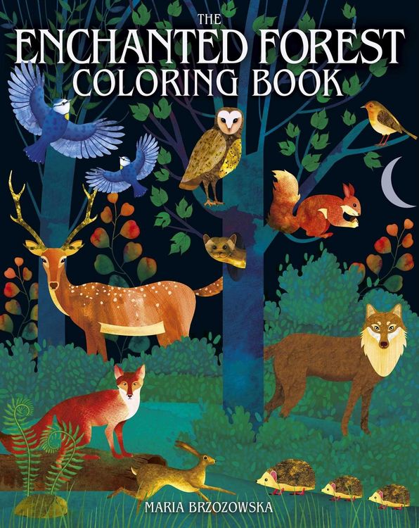 Produktbild: The Enchanted Forest Coloring Book