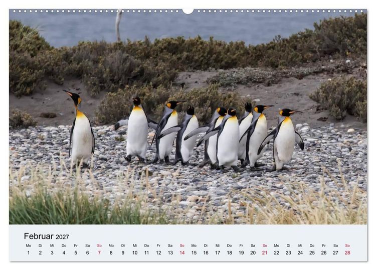 Produktbild: Feuerland - Am Puls der Wildnis (hochwertiger Premium Wandkalender 2027 DIN A2 quer), Kunstdruck in Hochglanz