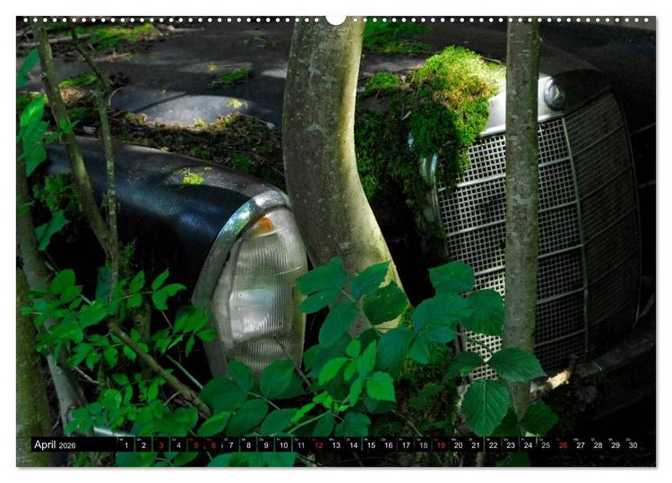 Produktbild: Autowracks - rostende Liebe (hochwertiger Premium Wandkalender 2026 DIN A2 quer), Kunstdruck in Hochglanz