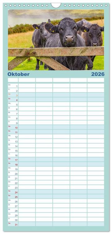 Produktbild: Familienplaner 2026 - Exmoor National Park mit 5 Spalten (Wandkalender, 21 x 45 cm) CALVENDO