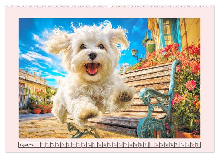 Produktbild: Bezaubernde Malteser. Fr&ouml;hliche Zuckerschnuten f&uuml;r Herz und Seele (Wandkalender 2026 DIN A2 quer), CALVENDO Monatskalender
