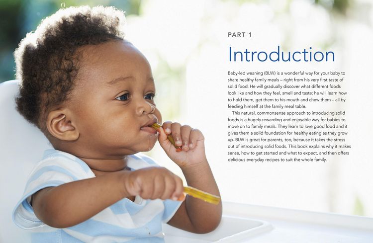 Produktbild: The Baby-Led Weaning Cookbook, Volume Two