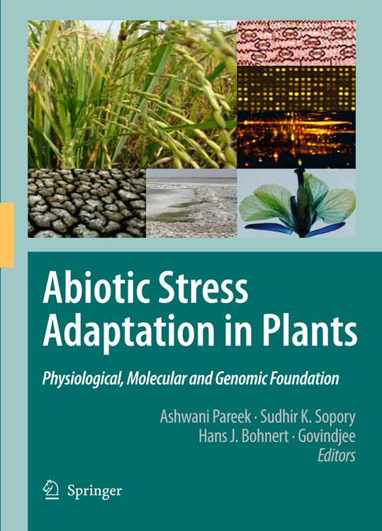 Produktbild: Abiotic Stress Adaptation in Plants