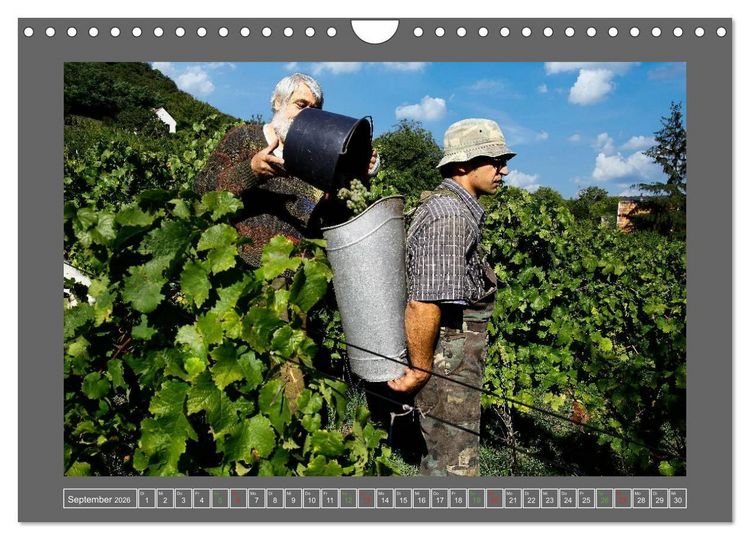 Produktbild: Ungarn - um den westlichen Balaton (Wandkalender 2026 DIN A4 quer), CALVENDO Monatskalender
